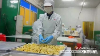 念其善 賣“不起眼”的水果，年銷近2億元的食品銷售傳奇